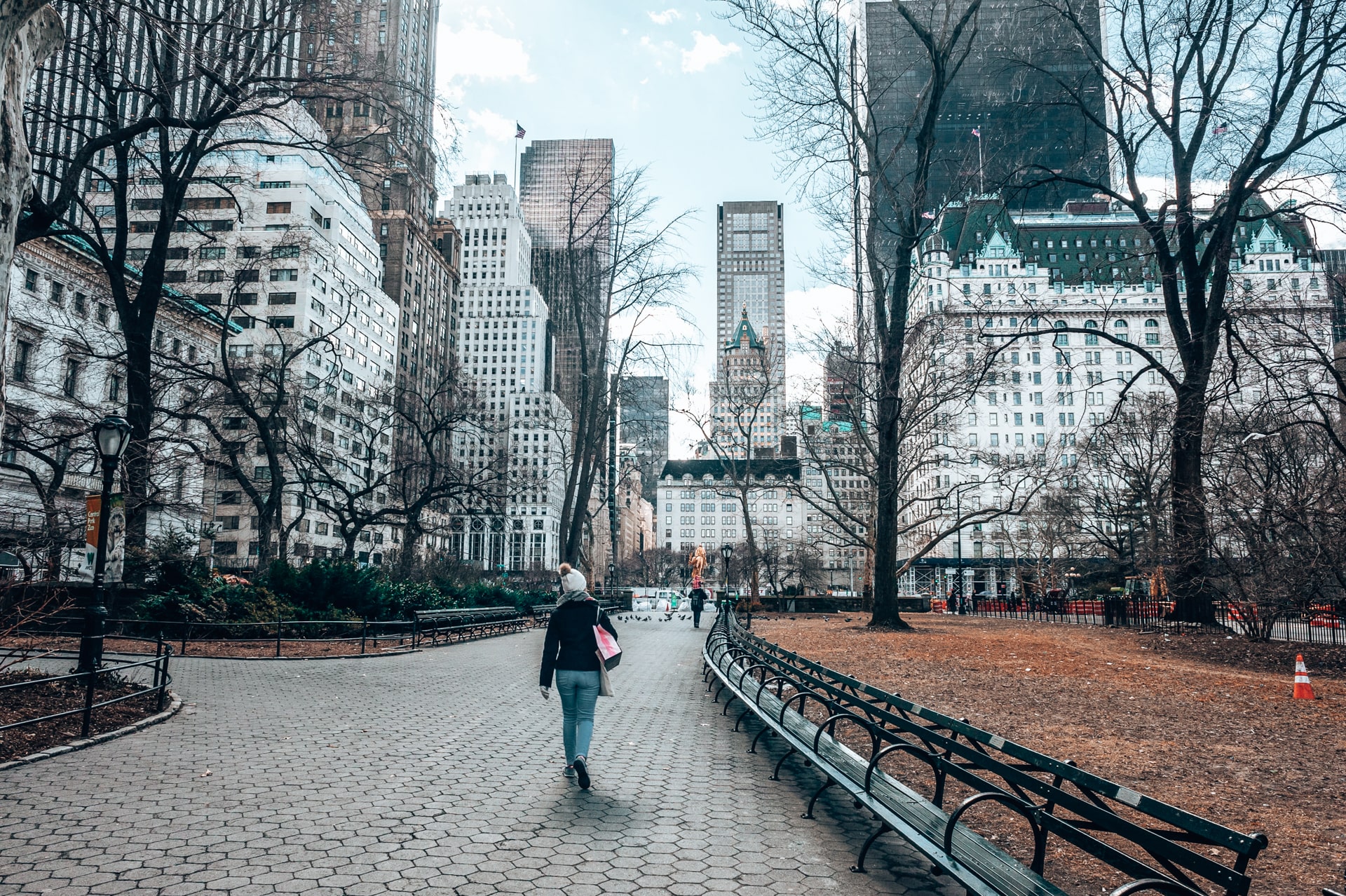 Sortir de central park vers la 5ème avenue